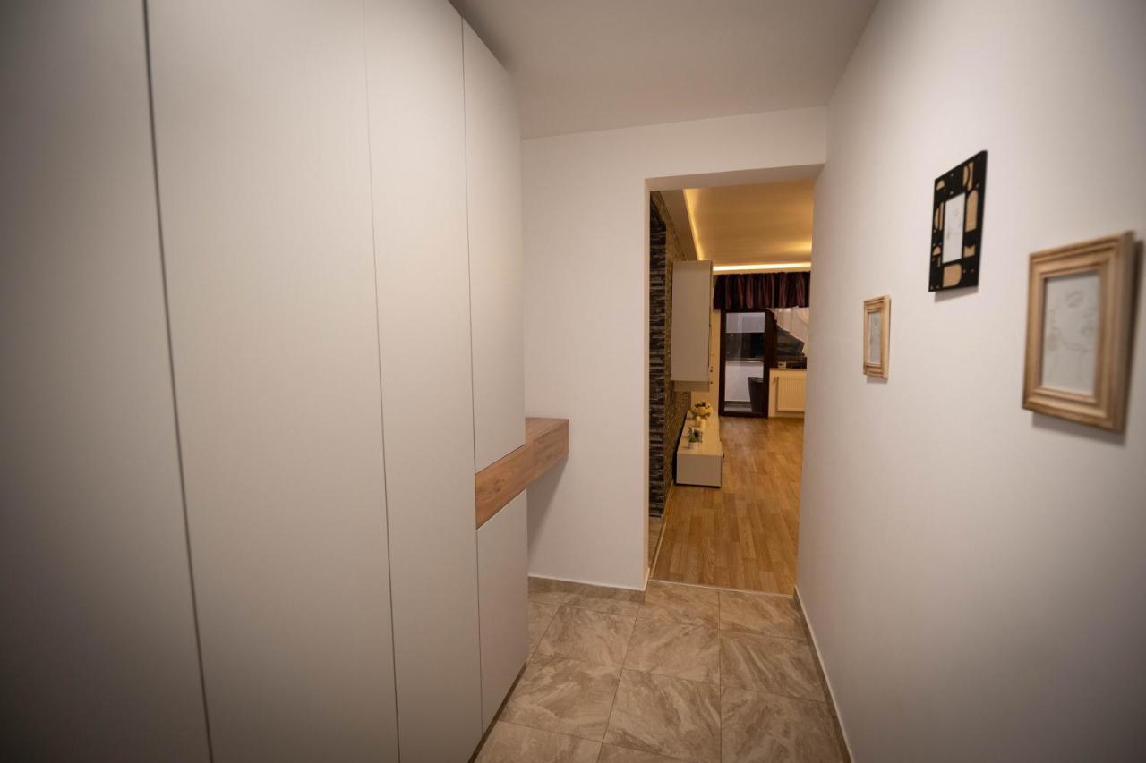 Isaran Coresi Apartment Braşov Buitenkant foto