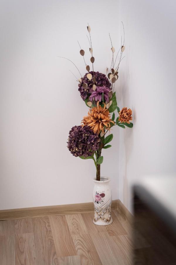 Isaran Coresi Apartment Braşov Buitenkant foto